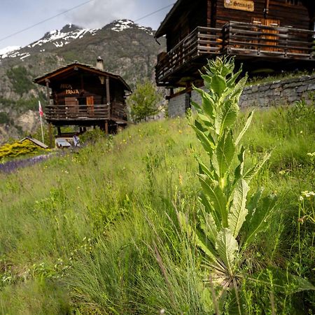 Kornstadel "Arida Prata" Grachen Bagian luar foto