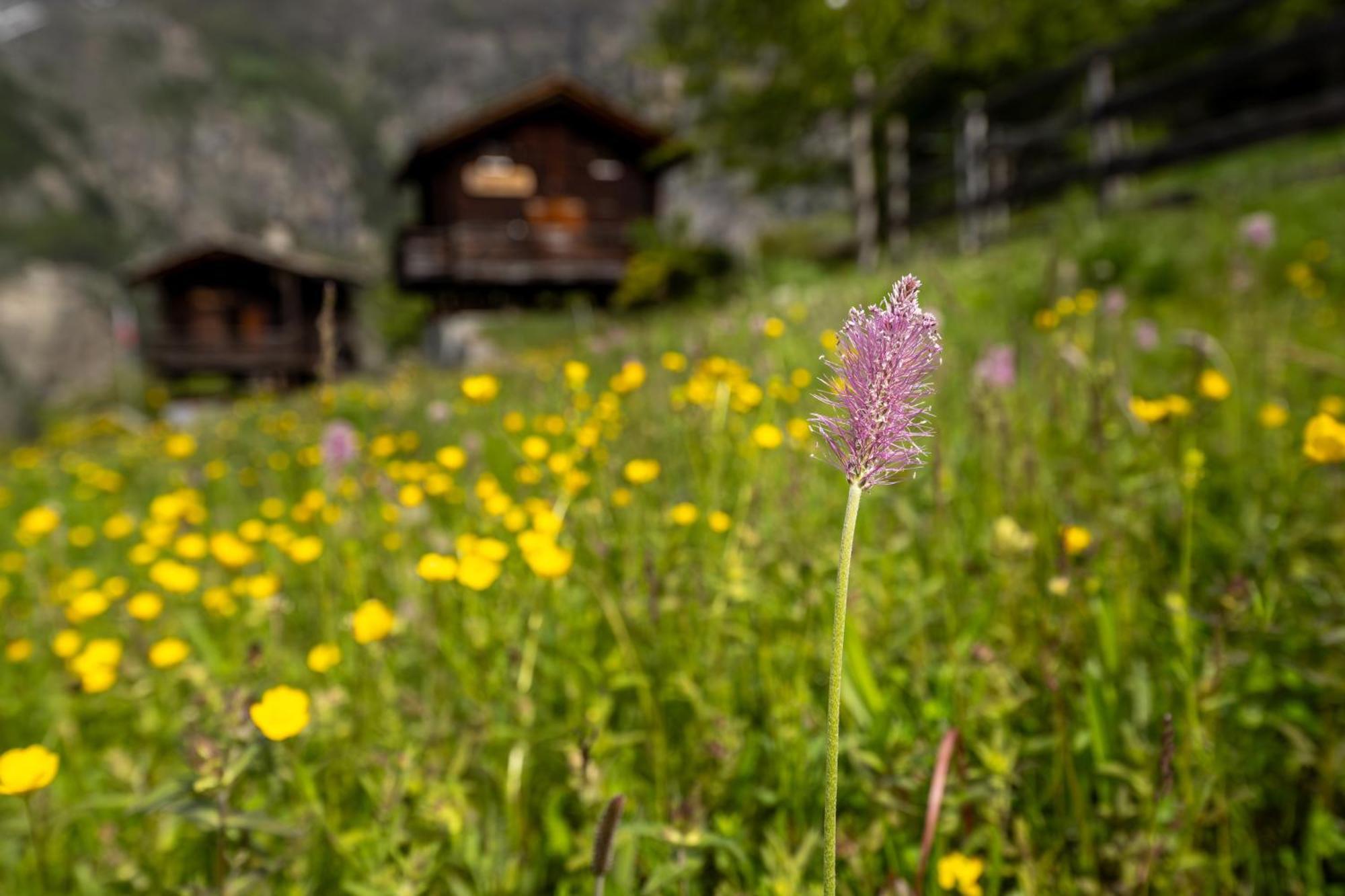 Kornstadel "Arida Prata" Grachen Bagian luar foto
