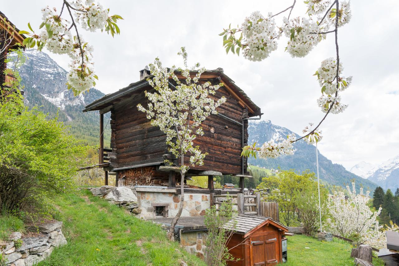 Kornstadel "Arida Prata" Grachen Bagian luar foto